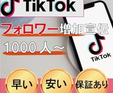 tiktokフォロワーを格安で増加いたします tiktokフォロワー増加1000人から5万人