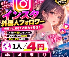 Instagramの外国人フォロワー増やします イメージ1