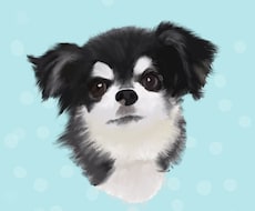ペットのイラストを描きます イメージ1