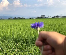2日間メッセージで悩みや愚痴を聞きます イメージ1