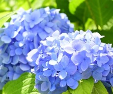 精神的に辛いあなたへカウセリングします イメージ1