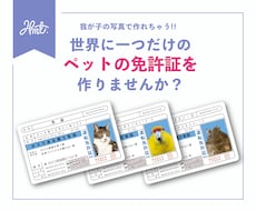 ペット免許証作ります 愛する我が子のお写真だけでOK！