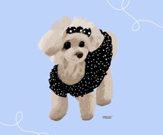ゆるかわいいイラスト描きます イメージ1