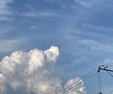 恋愛相談、家庭の悩み、仕事の愚痴何でも聞きます イメージ1