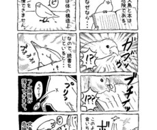 文鳥描きます イメージ1