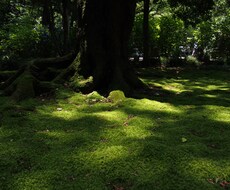 お悩み整理します イメージ1