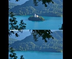 写真の不要物除去します イメージ1