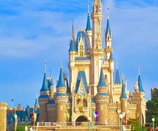 テーマパーク、レジャーランド等の話聞きます イメージ1