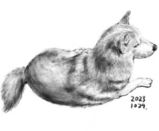 ドライブラシで犬猫の白黒イラスト描きます イメージ1