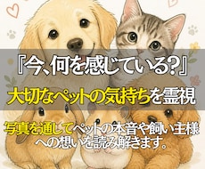 大切なペットの気持ちを霊視で読み取りお伝えします 写真を通してペットの想いに寄添い飼い主様へメッセージをお届け