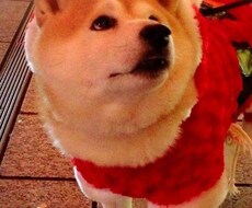 心の悩みを解消します イメージ1
