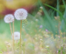 一緒に生きよう。寄り添います イメージ1