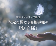 次元の異なるお相手様との「お子様」を読み解きます イメージ1