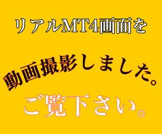 FXで正直出金までいかない方へサインツール教えます 購入前にツール詳細PDFを送ります。気になる方はDMください
