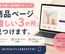 商品ページの「惜しい3か所」を見つけます イメージ1