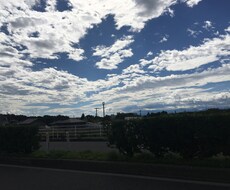 お母さん達の話し相手になります イメージ1