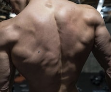 様々な体型に応じた筋トレメニューを作成します イメージ1