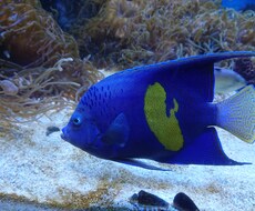 水族館や動物園の飼育員になる方法を教えます イメージ1