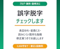 文章の誤字脱字をチェックします イメージ1
