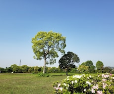 ご相談を受けて、私が大切だと思うアドバイスをします お仕事や子育てに疲れた方が、自信回復するためのお手伝い