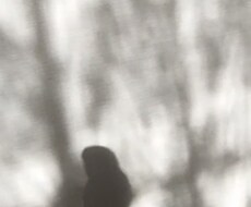 あなたの心を軽くするお手伝いします イメージ1