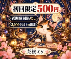 初回限定・質問数制限なしで丁寧に鑑定します イメージ1
