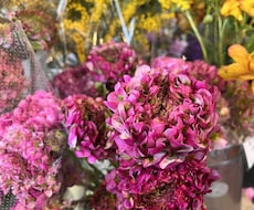 心に癒しを♪部屋に合う季節のお花をお届けいたします イメージ1