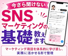 今さら聞けないSNSマーケティングの基礎教えます マーケティング用語を体系的に学び直し、実務に活かせる形で整理