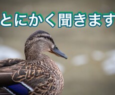 とにかく聞きます イメージ1