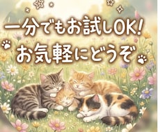 誰にも言えない秘密や本音を否定せずお聞きします イメージ1