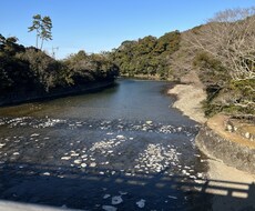 話をしたい、聞きたいという人とお話をします イメージ1