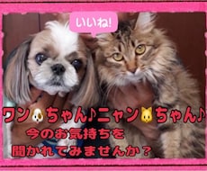 ペット占い♪ご家族の犬・猫ちゃん♪占わせて頂きます ！亡くなってしまったペットちゃん、、今のお気持ち知りたい‼︎