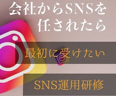 SNSマネージャがSNS運用の基礎を丁寧に教えます 店舗のSNS担当になったばかりの方へのサービスです