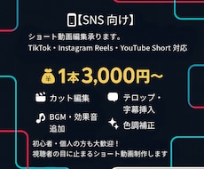 初心者OK!スマホ撮影動画をSNS用に編集します イメージ1