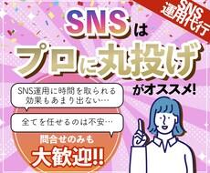 現役マーケターがあなたのSNSを運用代行をします イメージ1
