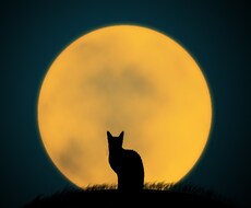 愚痴・不満聞きます イメージ1