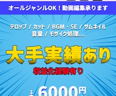 大手実績あり！YouTube向け動画の編集承ります イメージ1