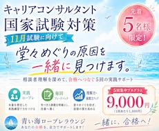 11月試験に向けたロープレ練習をお手伝いします 堂々めぐりの原因を一緒に見つける５回集中プログラムです。