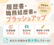 履歴書・職務経歴書の添削・ブラッシュアップします イメージ1