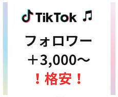 TikTokフォロワー数3,000～増やします SNSのプロがTikTokのフォロワー数増を支援します！
