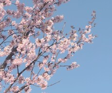 東北訛りでゆる〜っとお話お聞きします イメージ1