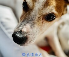 愚痴や悩みきかせてください。寄り添います イメージ1