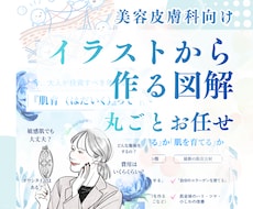 美容医療・サロン｜洗練イラストで魅せる図解作ります 薬機法を意識した美容医療の図解化・雑誌風の上品デザインセット