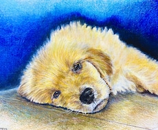部屋に飾りたくなるような動物画を描きます イメージ1