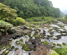 あなたの⭐️旅行プラン⭐️考えます イメージ1