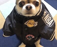 その気持ち、わかります！私も同じ様に悩んでます イメージ1