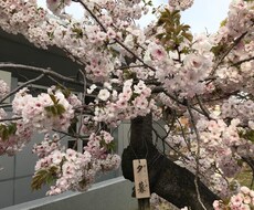 仕事の愚痴やプライベートの愚痴等、何でも聴きます イメージ1