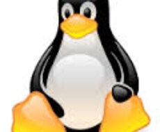 Linuxサーバーのあれこれをサポートします エンジニア歴10年のフリーランスがサポート