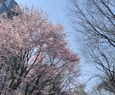 1コインであなたの心を癒します イメージ1