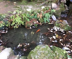 宿曜占星術で鑑定いたします "宿命感"を感じますがとても現実的です。相性診断にお勧め。